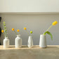Elegant White Series